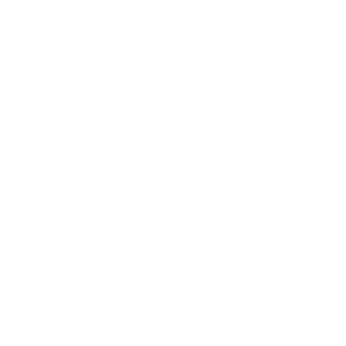 ANVIL ; BUILT TO LAST