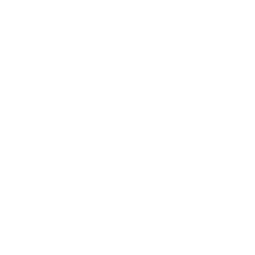 ANVIL ; BUILT TO LAST 